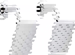 Single Function Showerhead in Polished Chrome